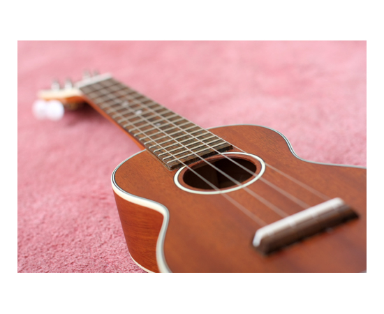 Укулеле STAGG US80-S - 19672 за 0 грн. | 4Club